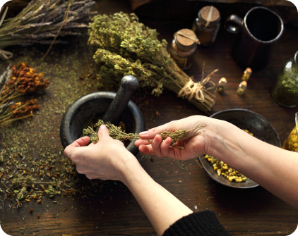 Nature’s Pharmacy: Herbs for Natural Pain Relief