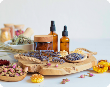 Herbs for Everyday Wellness: Must-Haves in Your Herbal Toolkit