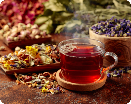 Holistic Living: A Beginner’s Guide to Herbal Remedies