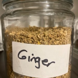 Ginger