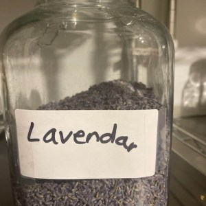 Lavender