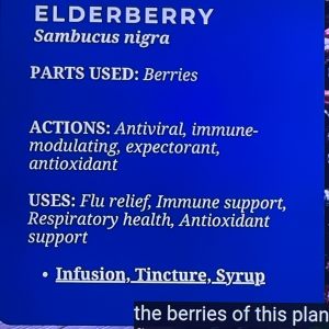 Elderberry Syrup